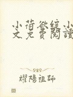 小荷欲绽小说全文免费阅读笔趣阁