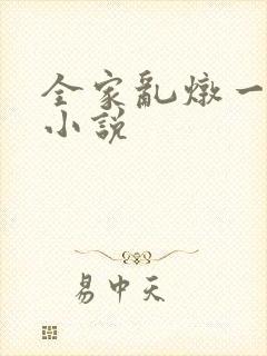 全家乱炖一锅烩小说