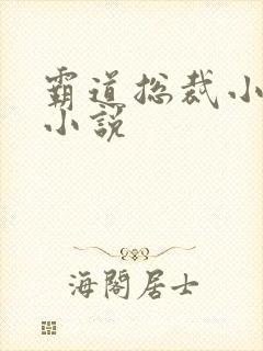 霸道总裁小娇妻小说