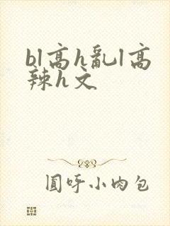 bl高h乱l高辣h文