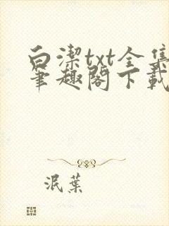 白洁txt全集笔趣阁下载