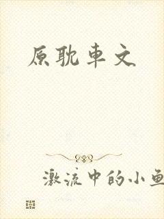 原耽车文