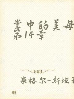 掌中的美母版主第14章