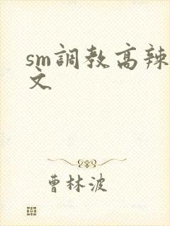 sm调教高辣h文