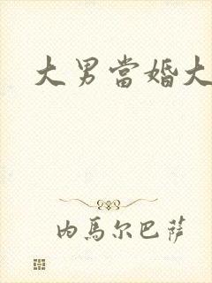 大男当婚大结局