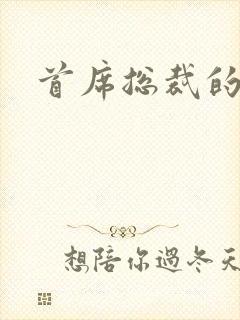 首席总裁的逃妻