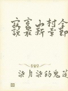 寂寞山村全部小说最新章节