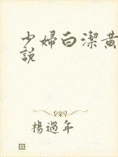 少妇白洁黄色小说