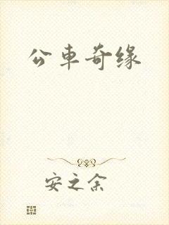 公车奇缘