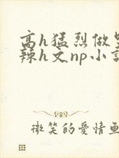 高h猛烈做哭高辣h文np小说