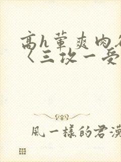 高h荤爽肉欲文〈三攻一受