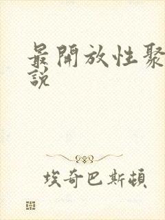 最开放性聚会小说