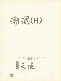 潮湿(H)