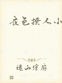 夜色撩人小说