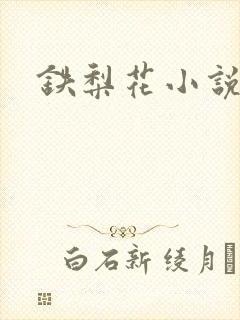 铁梨花小说