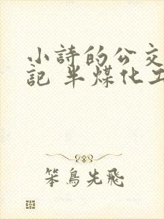 小诗的公交车日记 半煤化工