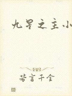 九星之主小说