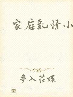 家庭乱情小说