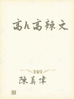 高h高辣文