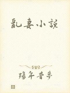 乱妻小说
