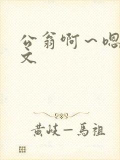 公翁啊～嗯啊h文