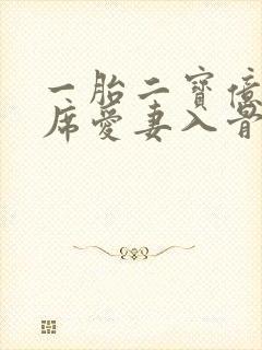 一胎二宝亿万首席爱妻入骨