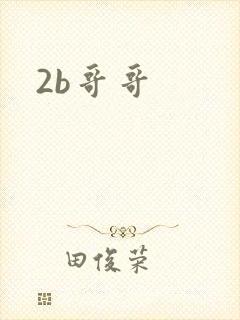 2b哥哥