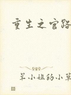 重生之官路风流