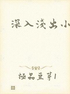 深入浅出小说