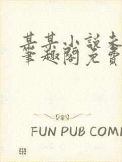 某某小说未删减笔趣阁免费阅读