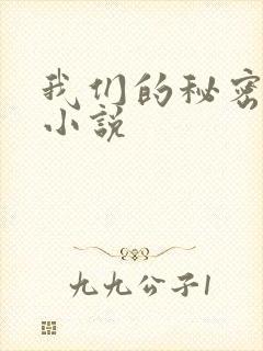 我们的秘密泰剧小说