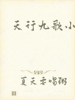 天行九歌小说