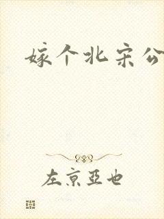 嫁个北宋公务员