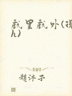 戏里戏外(现场h)