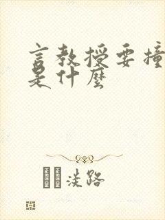 言教授要撞坏了是什么