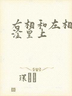 右相和左相一起淦皇上