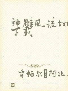 神雕风流txt下载
