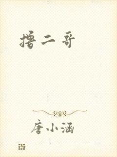 撸二哥