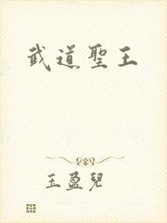 武道圣王