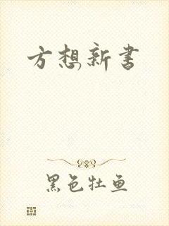 方想新书
