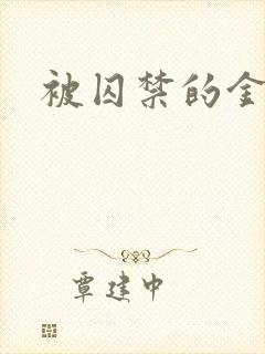 被囚禁的金丝雀