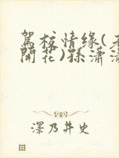 驾校情缘(老树开花)孙潇潇笔趣阁