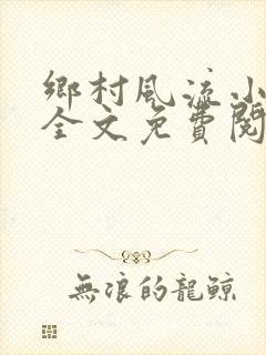 乡村风流小傻子全文免费阅读