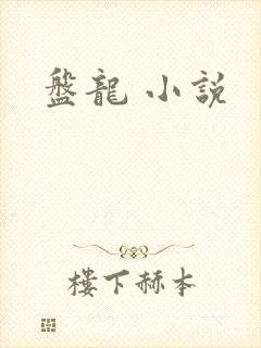 盘龙 小说