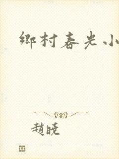 乡村春光小说