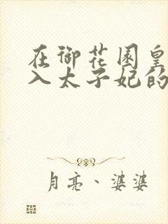 在御花园皇上进入太子妃的小说