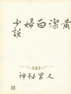 少妇白洁黄色小说