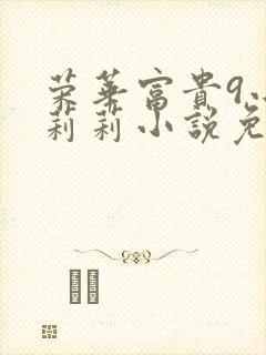 荣华富贵9小王莉莉小说免费阅读