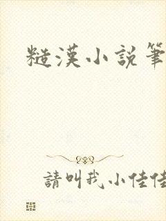 糙汉小说笔趣阁