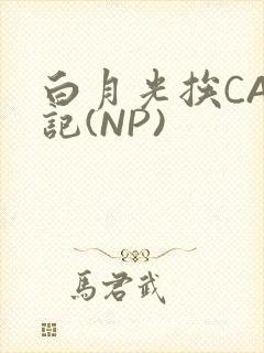 白月光挨CAO记(NP)